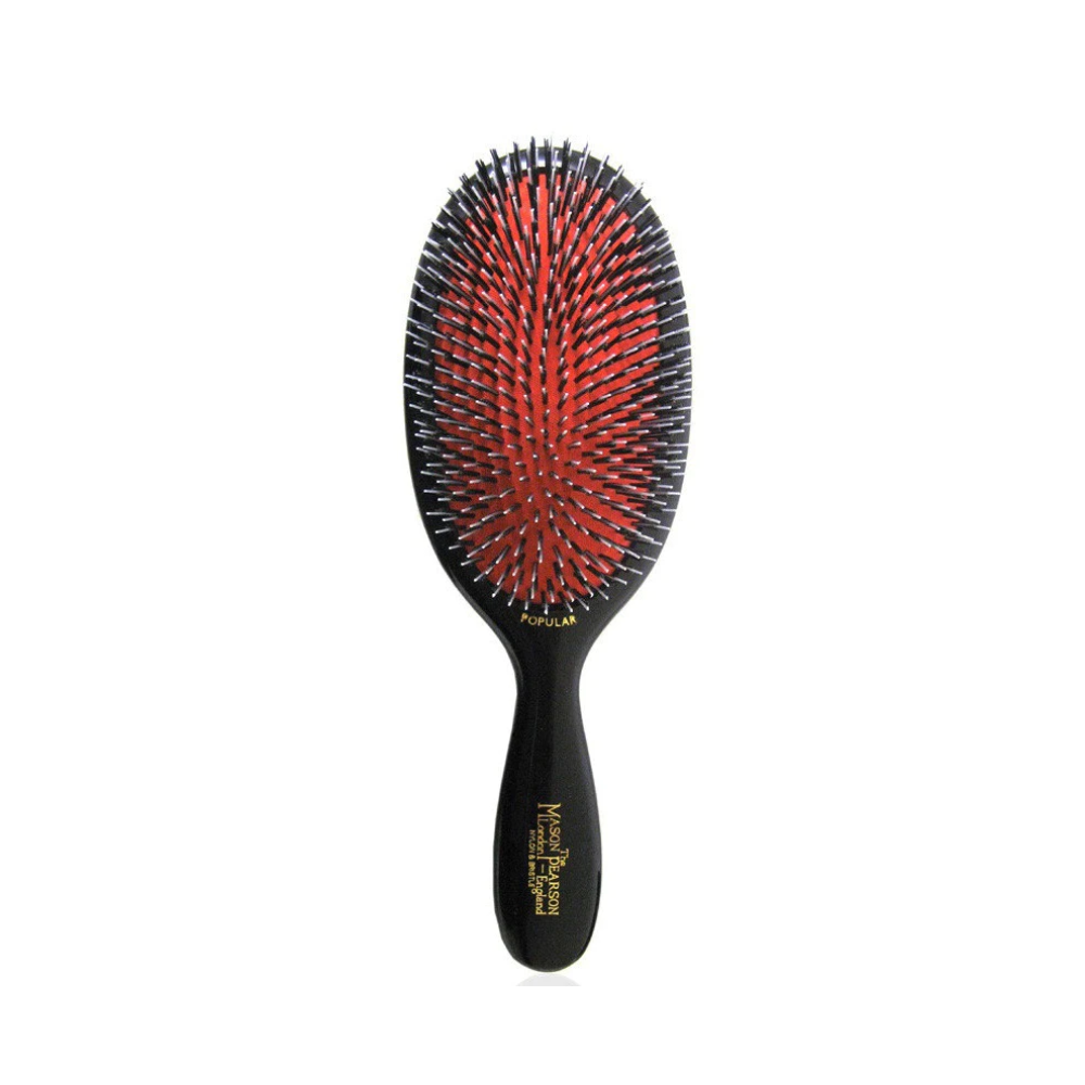 Popular Bristle & Nylon Brush BN1