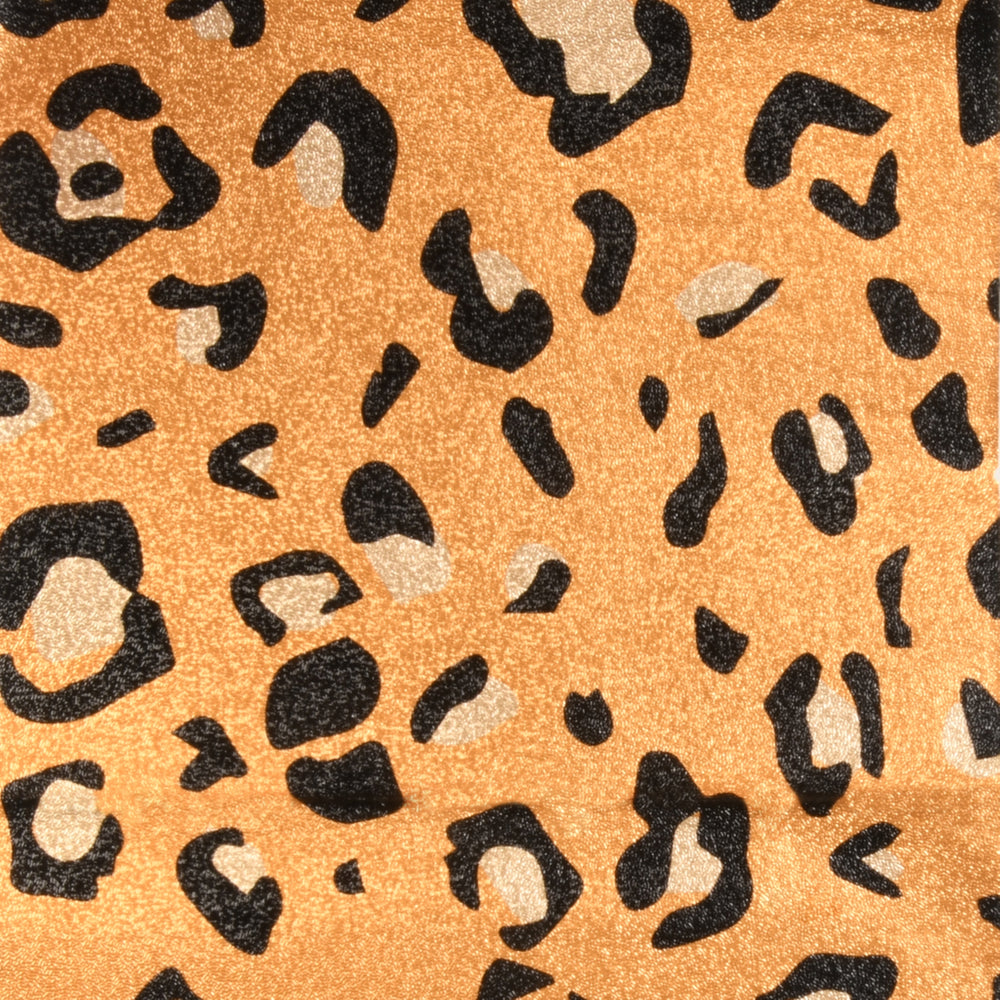 Party Animal - Pop Up Foil (5x11)