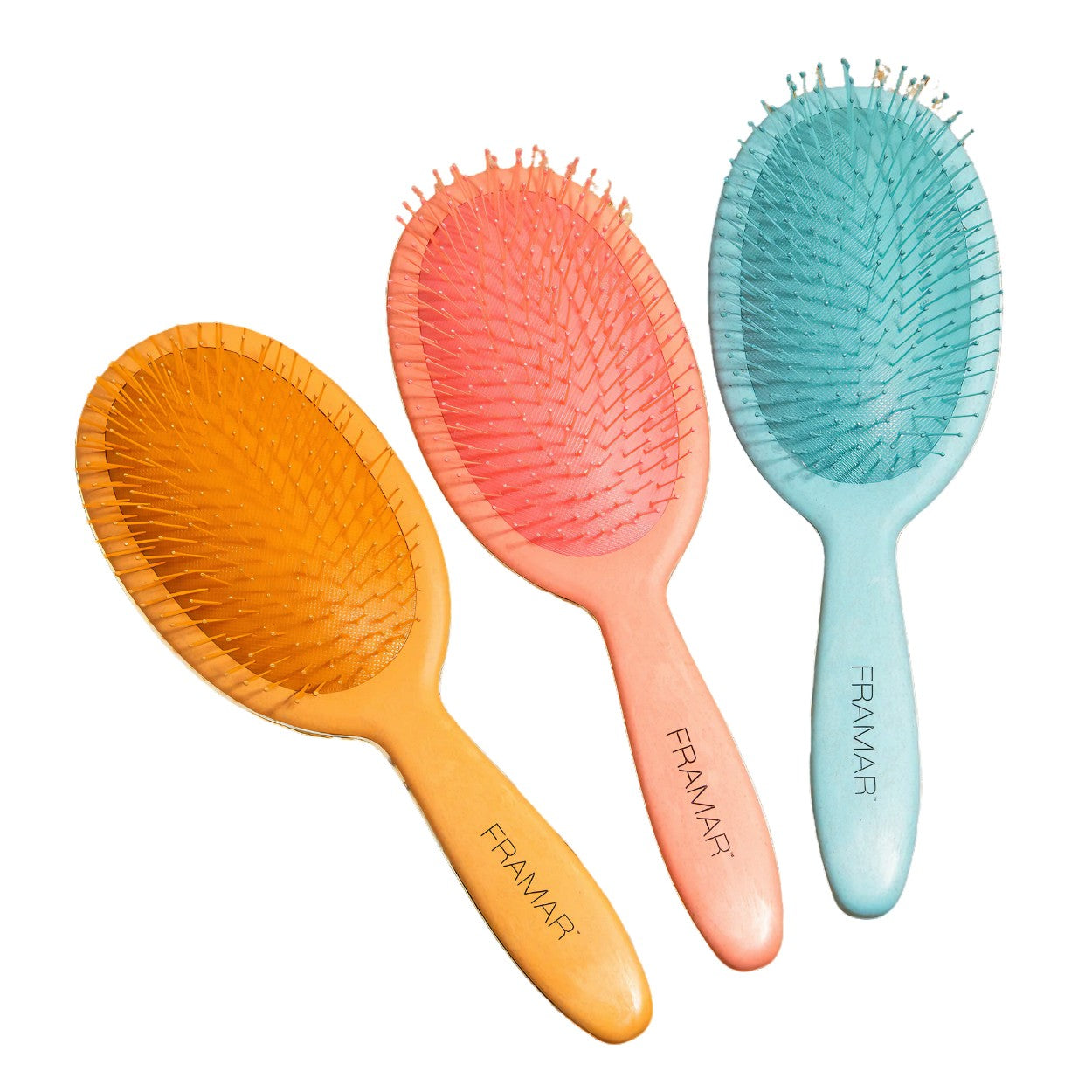 Baecation - 9pc Detangle Brush Display