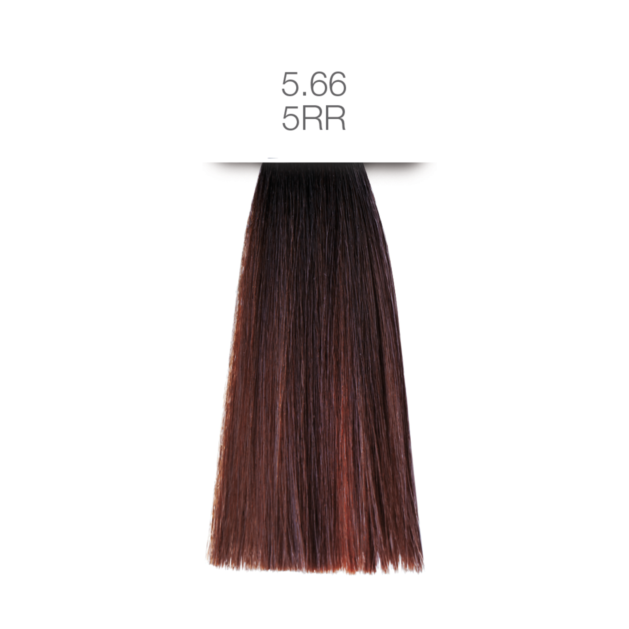 Earth Color - Ammonia-Free Coloring System Coloring Creme