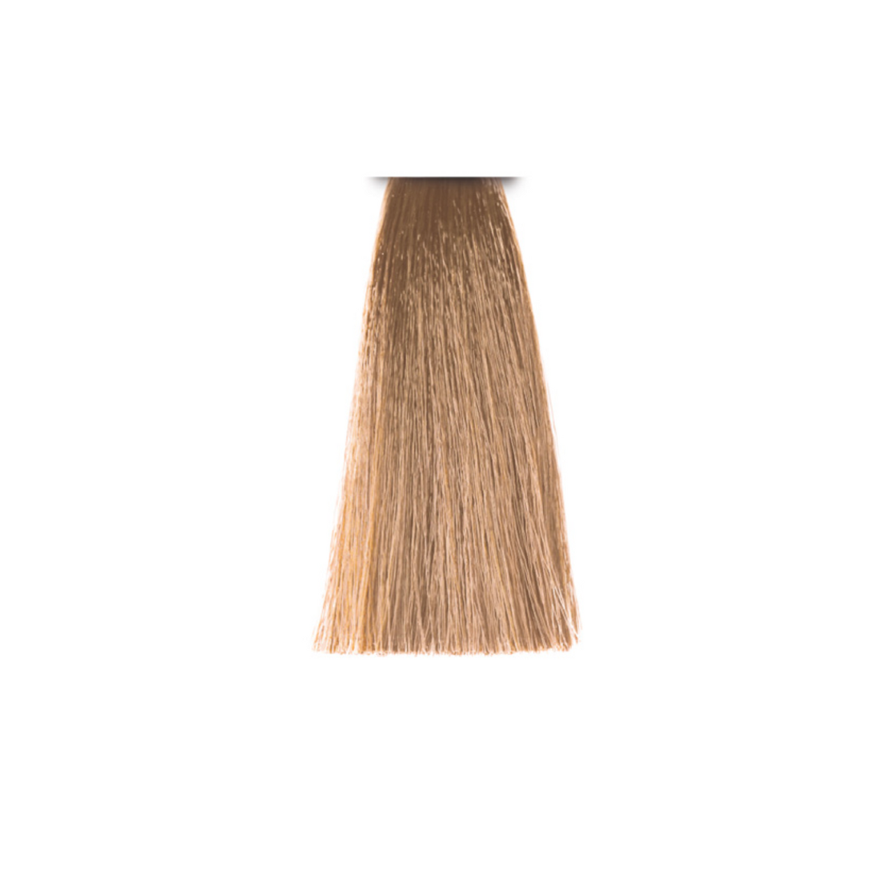 Argan and Keratin Color -  Select Your Core Shades