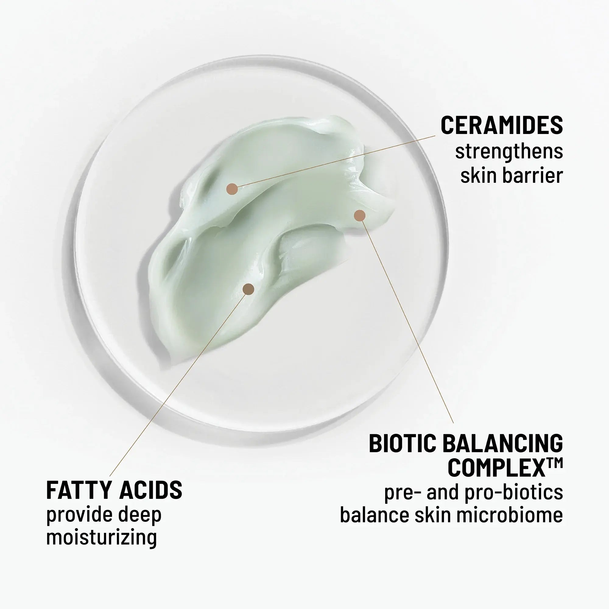 Prebiotics - Hydro Biotic Overnight Hydrating Face Mask (1.7 oz)