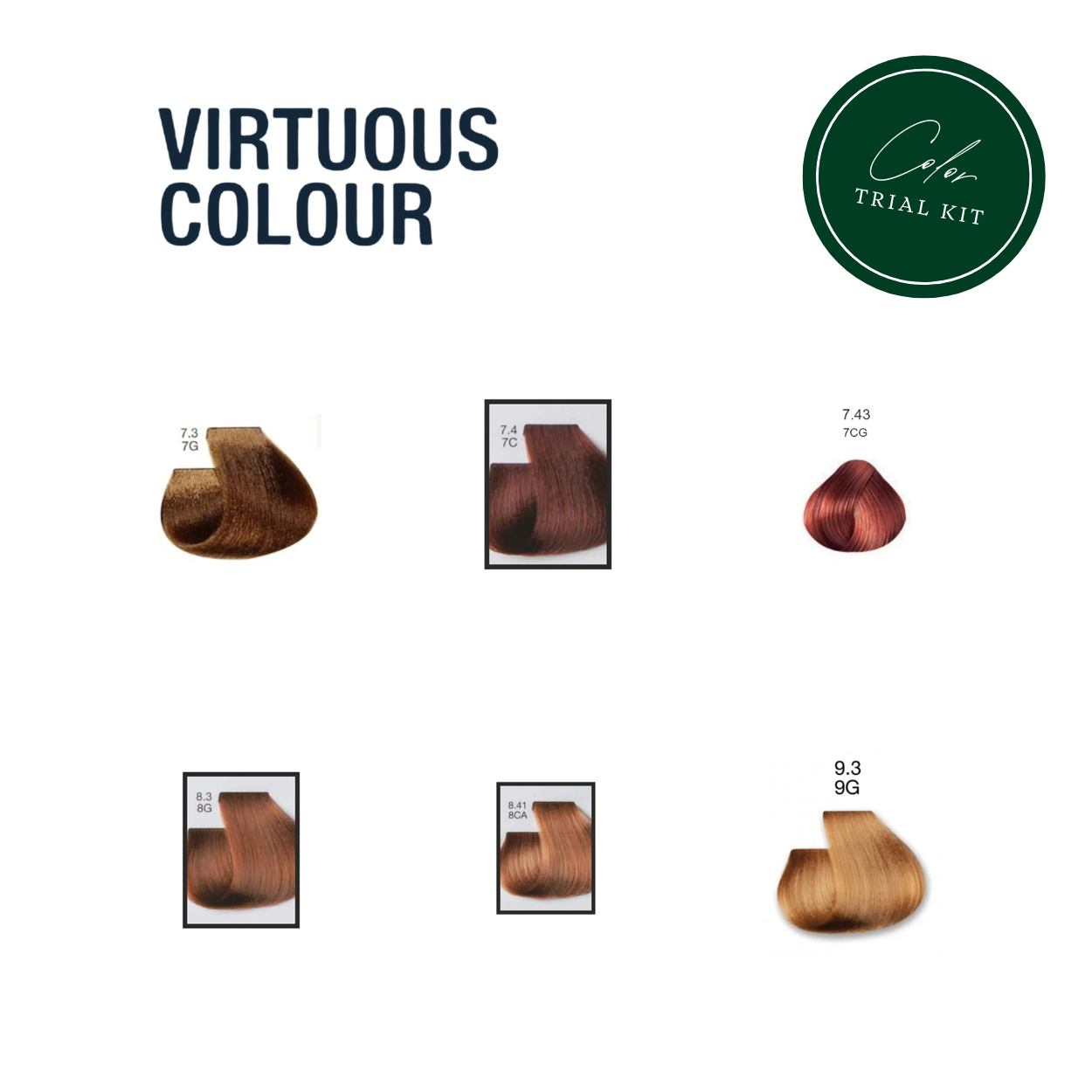 Previa Virtuous Color Warm Blonde Tones Trial Kit