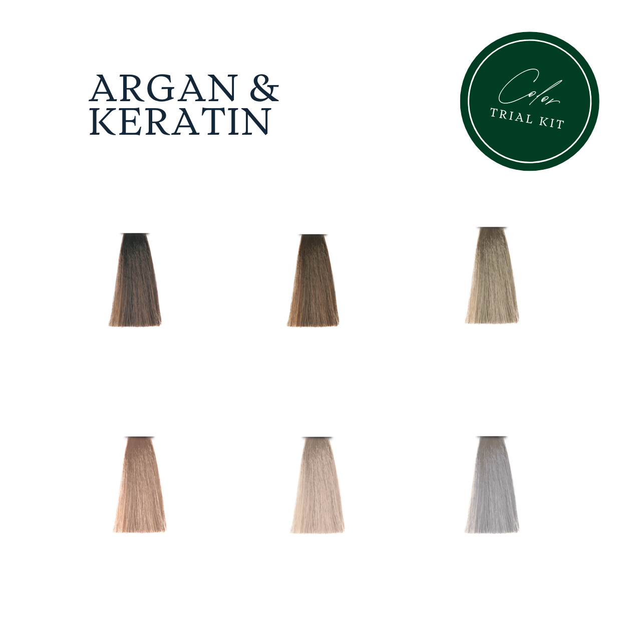 pH Laboratories Argan & Keratin Color Cool Blonde Tones Trial Kit