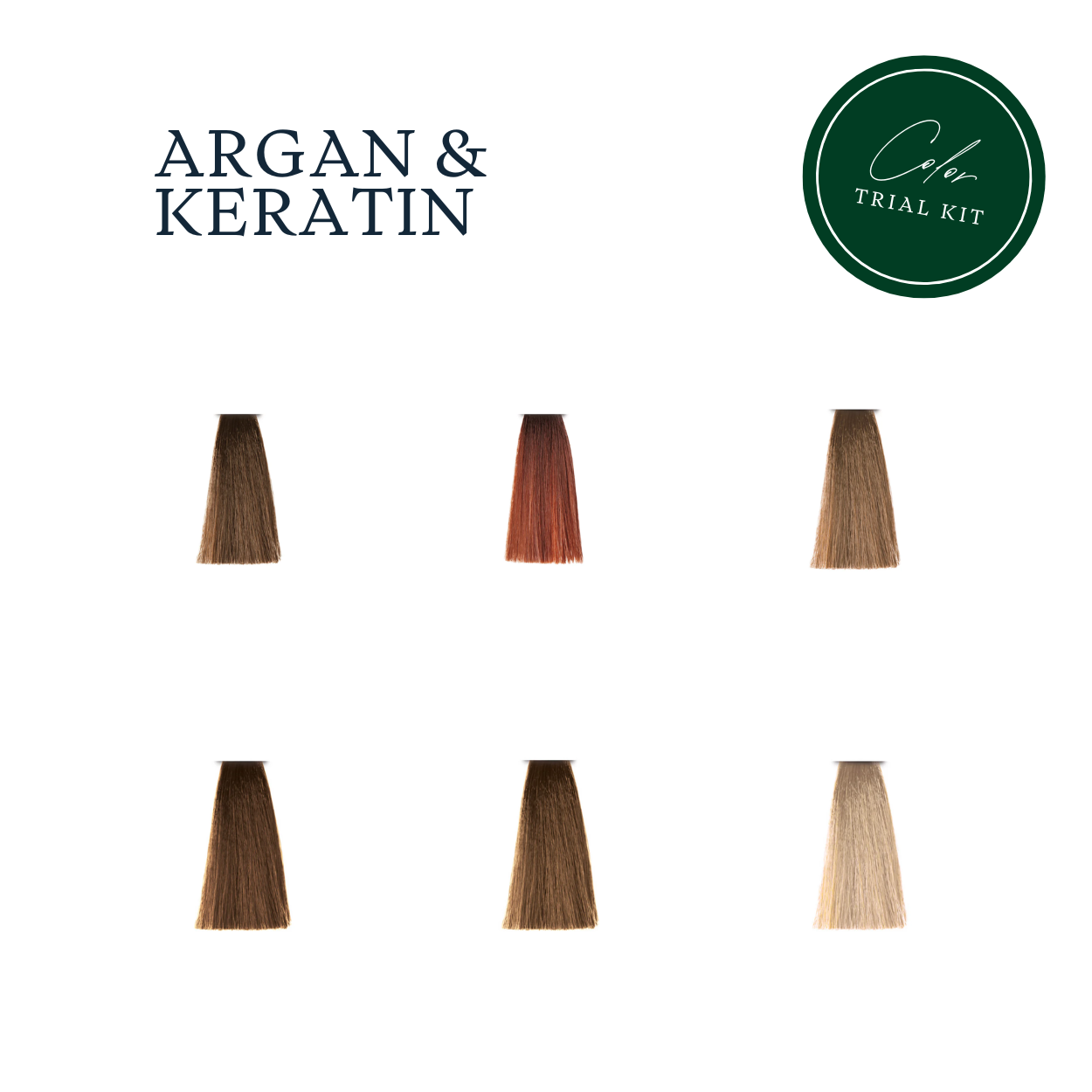 pH Laboratories Argan & Keratin Warm Blonde Tones Trial Kit